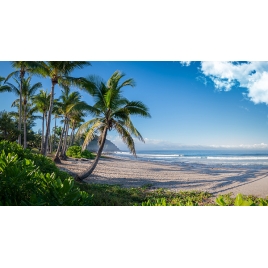 Séjour à l'Ile de La Réunion