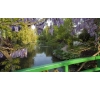 Sortie à Giverny