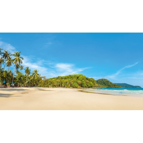Découverte du Sri Lanka et ses plages de rêve