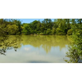 Journée Champêtre à Sury aux bois le 10 juin 2025