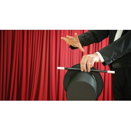 Spectacle de fin d'année des SLVie 1 et 4