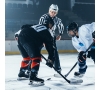 Match de hockey sur glace à Orléans