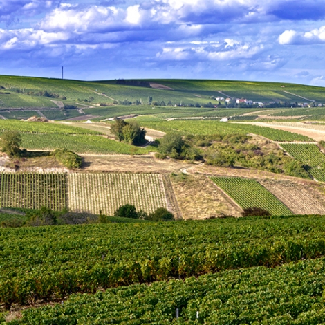 Week-end Vinotrip à Chinon