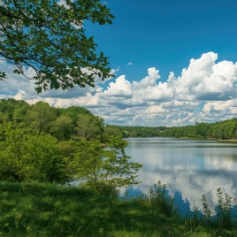 Journée Champêtre à l’Oseraie le 9 juin 2026