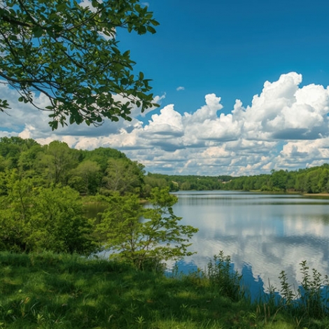 Journée Champêtre à l’Oseraie le 9 juin 2026
